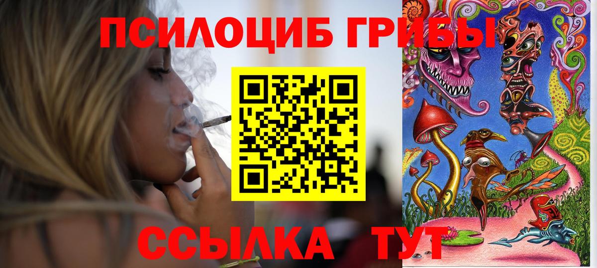Псилоцибиновые грибы Psilocybe  Вход с VPN  Новый Уренгой 
