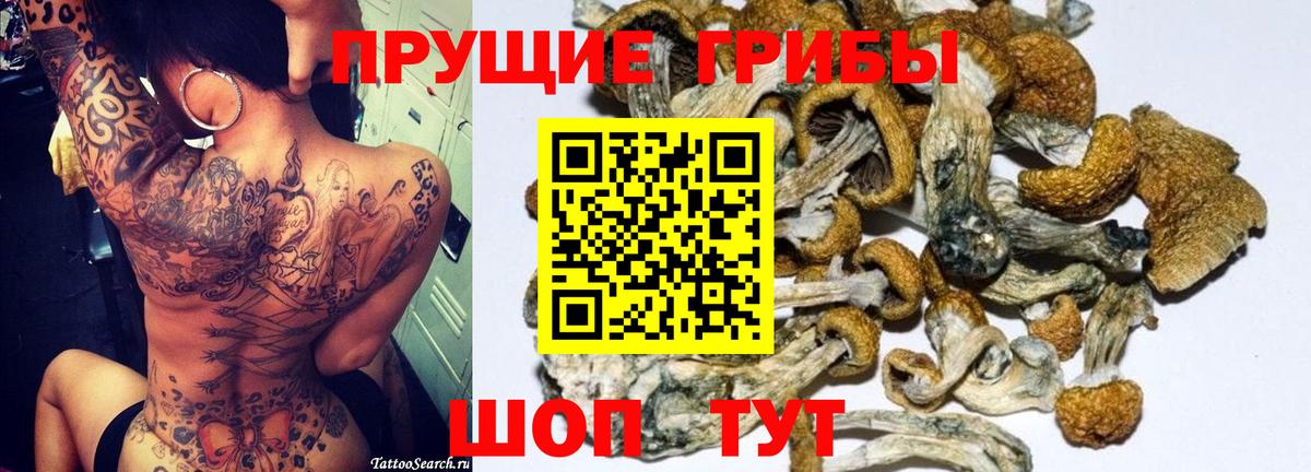 Галлюциногенные грибы Psilocybe Новый Уренгой